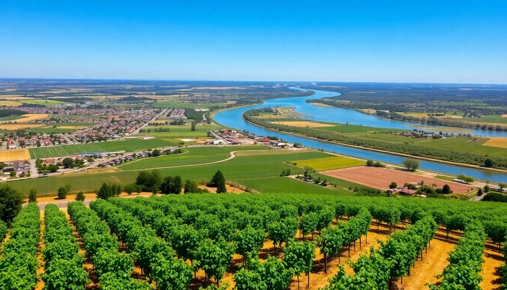 View of Clarksburg, California, revealing its stunning vineyards and nearby river.